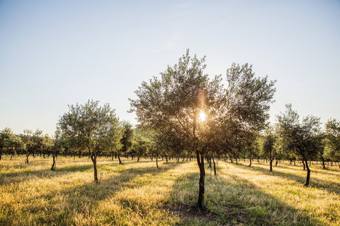 Guneemooroo Estate - Gold Coast Attractions 0