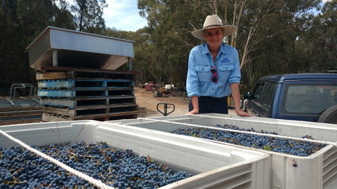 Guneemooroo Estate - Gold Coast Attractions 1