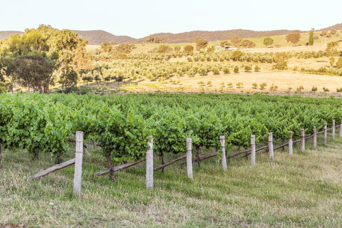 Guneemooroo Estate - Gold Coast Attractions 2