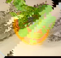 Harvey's Bar - Gold Coast Attractions