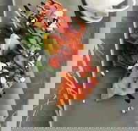 KALV  Co. Cafe and Wine Bar - Gold Coast Attractions