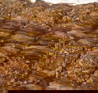 Kolachi - Gold Coast Attractions