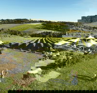 Montalto - Gold Coast Attractions