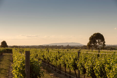 Norton Estate Wines - Gold Coast Attractions 2