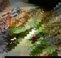 Taste Canowindra - Gold Coast Attractions