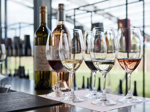 Levantine Hill - Gold Coast Attractions 1