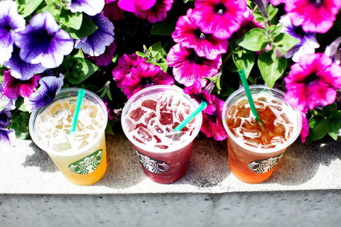 Starbucks - CBD - Gold Coast Attractions 0