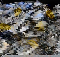 View 42o - Gold Coast Attractions