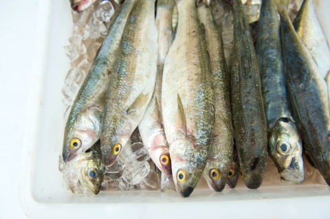 Peninsula Fresh Seafood - Gold Coast Attractions 2