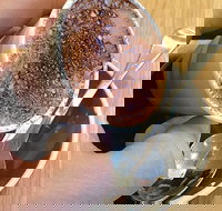 Gordon's Cafe - Gold Coast Attractions