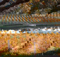 Sanguine Estate - Gold Coast Attractions