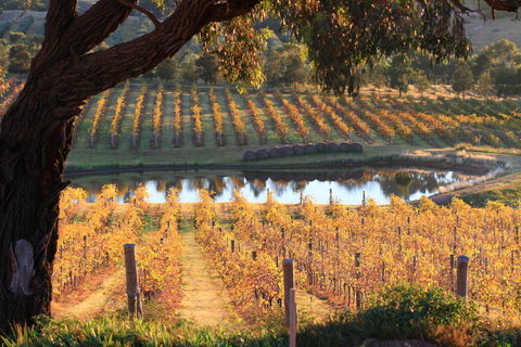 Sanguine Estate - Gold Coast Attractions 0