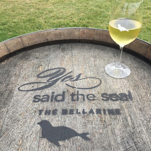 Yes Said The Seal - Gold Coast Attractions 1