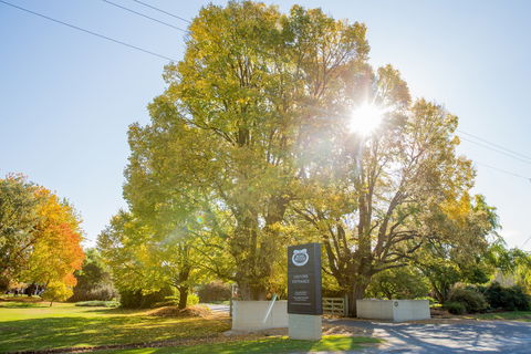 Brown Brothers Milawa Vineyard - Gold Coast Attractions 0