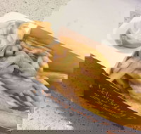 Jesters - Bull Creek - Gold Coast Attractions