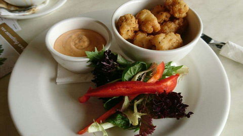 Dome - Subiaco - Gold Coast Attractions 0