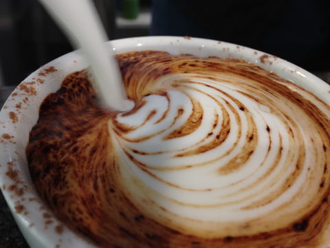 Jaques Coffee Plantation - Gold Coast Attractions 1