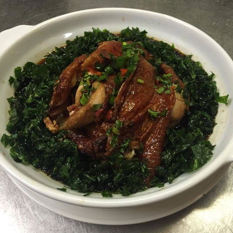 Lakeside Harmony - Gold Coast Attractions 0