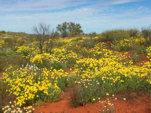 Rollz - Gold Coast Attractions 0