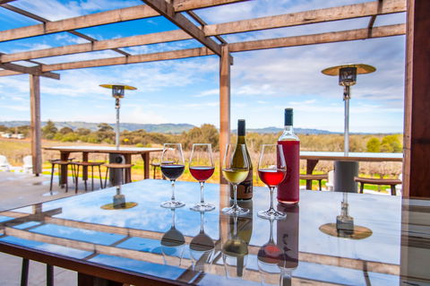 David Franz - Gold Coast Attractions 2