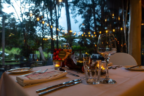 Rainforest Restaurant And Lounge Bar - Gold Coast Attractions 1