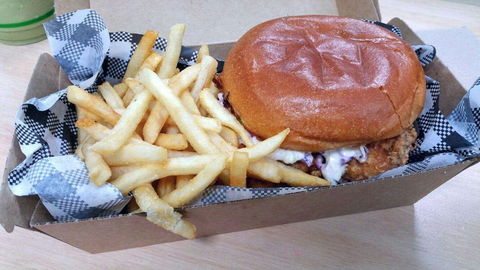 Saltie. - Gold Coast Attractions 0