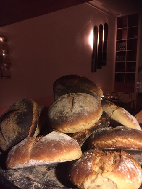 Lady Of Ro - Gold Coast Attractions 3