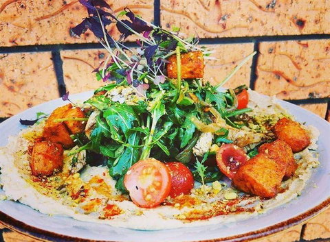 Blue Jay Cafe - Gold Coast Attractions 9