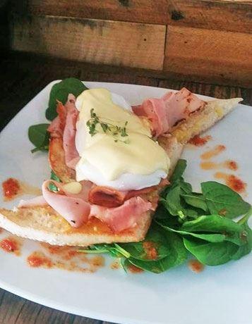 Blue Jay Cafe - Gold Coast Attractions 15