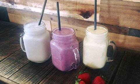 Blue Jay Cafe - Gold Coast Attractions 17