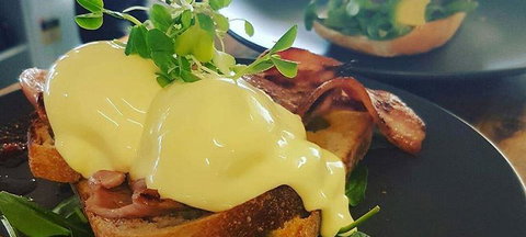 Blue Jay Cafe - Gold Coast Attractions 1