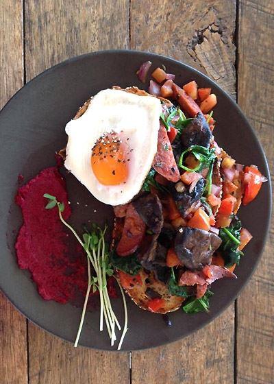 Blue Jay Cafe - Gold Coast Attractions 20