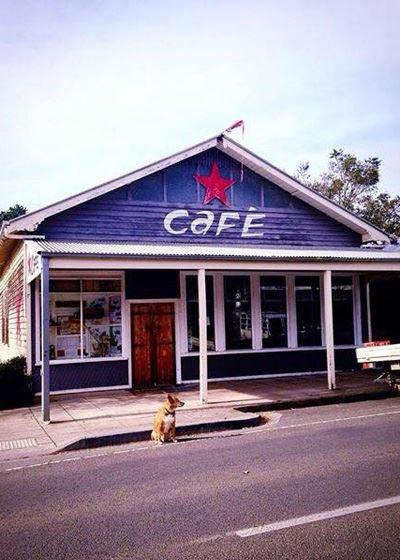 Blue Bean Love Cafe - Gold Coast Attractions 5