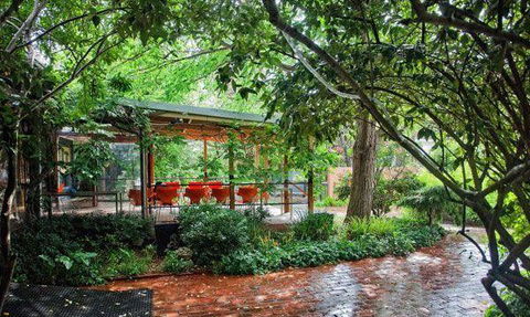 MIKA Airlie Beach - Gold Coast Attractions 13