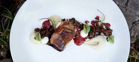 MIKA Airlie Beach - Gold Coast Attractions 14