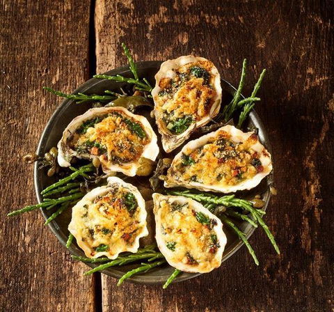 MIKA Airlie Beach - Gold Coast Attractions 2