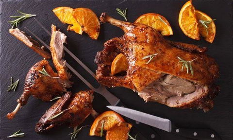 MIKA Airlie Beach - Gold Coast Attractions 5