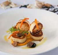 Stay Grounded - Gold Coast Attractions