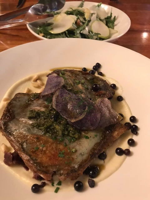 Foglia Di Fico - Gold Coast Attractions 2