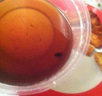 Labrador Chinese Restaurant - Gold Coast Attractions