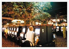 Mount Isa Irish Club - Gold Coast Attractions 3