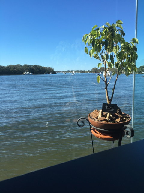 Pier 11 Restaurant  - Gold Coast Attractions 6