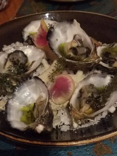 Long Pavillion - Gold Coast Attractions 3