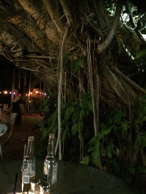 Big Fig Bistro - Gold Coast Attractions 12