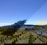 Barringwood Vineyard and Cellar Door Restaurant - Gold Coast Attractions