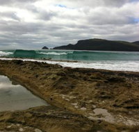 Bruny Island Berry Farm - Gold Coast Attractions