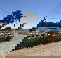 Penguin  Pardalote Coffee House - Gold Coast Attractions