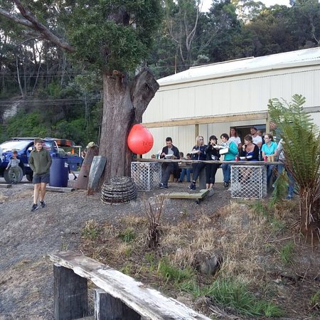 The Bay Fish - Gold Coast Attractions 0