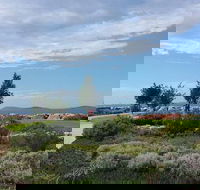 Coffee Cat - Gold Coast Attractions