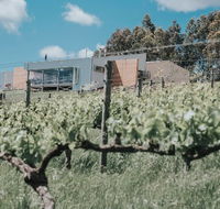 Green Door Winery  Cafe - Gold Coast Attractions